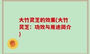 大竹灵芝的效果(大竹灵芝：功效与用途简介)