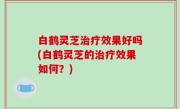 白鹤灵芝治疗效果好吗(白鹤灵芝的治疗效果如何？)