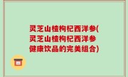 灵芝山楂枸杞西洋参(灵芝山楂枸杞西洋参 健康饮品的完美组合)