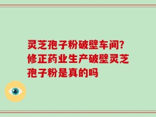 灵芝孢子粉破壁车间？修正药业生产破壁灵芝孢子粉是真的吗