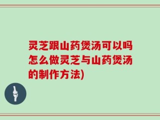 灵芝跟山药煲汤可以吗怎么做灵芝与山药煲汤的制作方法)
