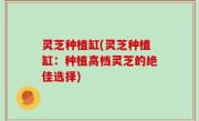 灵芝种植缸(灵芝种植缸：种植高档灵芝的绝佳选择)