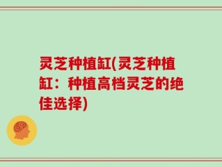 灵芝种植缸(灵芝种植缸：种植高档灵芝的绝佳选择)