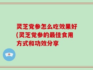灵芝党参怎么吃效果好(灵芝党参的最佳食用方式和功效分享