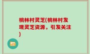 桃林村灵芝(桃林村发现灵芝资源，引发关注)