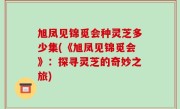 旭凤见锦觅会种灵芝多少集(《旭凤见锦觅会》：探寻灵芝的奇妙之旅)
