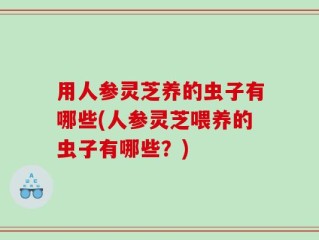 用人参灵芝养的虫子有哪些(人参灵芝喂养的虫子有哪些？)