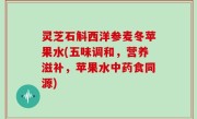 灵芝石斛西洋参麦冬苹果水(五味调和，营养滋补，苹果水中药食同源)