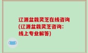 辽源盆栽灵芝在线咨询(辽源盆栽灵芝咨询：线上专业解答)