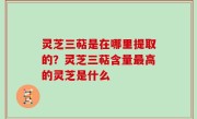 灵芝三萜是在哪里提取的？灵芝三萜含量最高的灵芝是什么