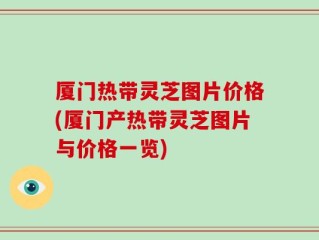 厦门热带灵芝图片价格(厦门产热带灵芝图片与价格一览)