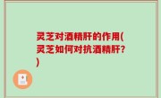 灵芝对酒精肝的作用(灵芝如何对抗酒精肝？)