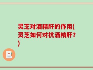 灵芝对酒精肝的作用(灵芝如何对抗酒精肝？)