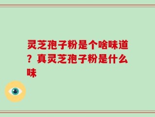 灵芝孢子粉是个啥味道？真灵芝孢子粉是什么味