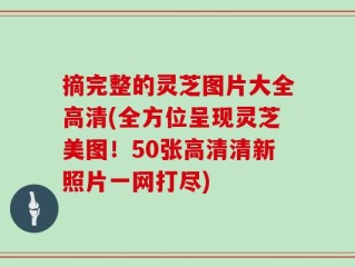 摘完整的灵芝图片大全高清(全方位呈现灵芝美图！50张高清清新照片一网打尽)
