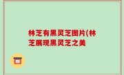 林芝有黑灵芝图片(林芝展现黑灵芝之美