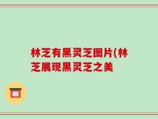 林芝有黑灵芝图片(林芝展现黑灵芝之美