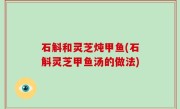 石斛和灵芝炖甲鱼(石斛灵芝甲鱼汤的做法)