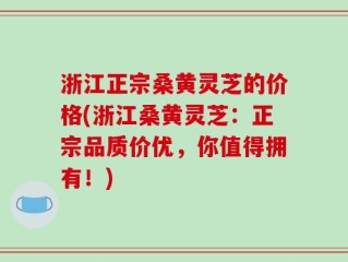 浙江正宗桑黄灵芝的价格(浙江桑黄灵芝：正宗品质价优，你值得拥有！)