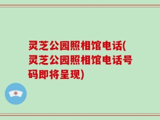 灵芝公园照相馆电话(灵芝公园照相馆电话号码即将呈现)