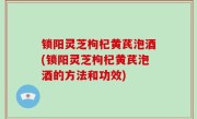 锁阳灵芝枸杞黄芪泡酒(锁阳灵芝枸杞黄芪泡酒的方法和功效)