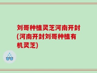 刘哥种植灵芝河南开封(河南开封刘哥种植有机灵芝)