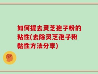 如何提去灵芝孢子粉的粘性(去除灵芝孢子粉黏性方法分享)