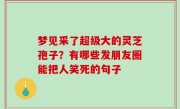 梦见采了超级大的灵芝孢子？有哪些发朋友圈能把人笑死的句子