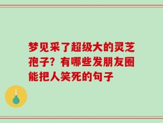 梦见采了超级大的灵芝孢子？有哪些发朋友圈能把人笑死的句子