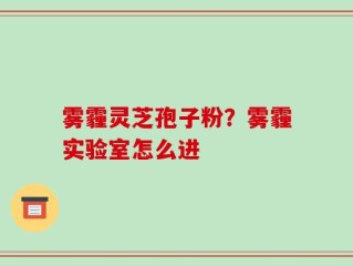 雾霾灵芝孢子粉？雾霾实验室怎么进