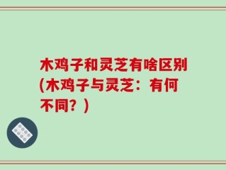 木鸡子和灵芝有啥区别(木鸡子与灵芝：有何不同？)