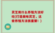 灵芝用什么养殖方法好吃(打造美味灵芝，这些养殖方法很重要！)