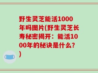 野生灵芝能活1000年吗图片(野生灵芝长寿秘密揭开：能活1000年的秘诀是什么？)