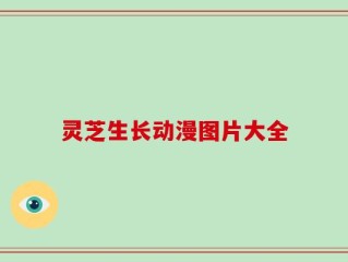灵芝生长动漫图片大全