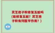灵芝孢子粉修复五脏吗(能修复五脏？灵芝孢子粉有何医学作用？)