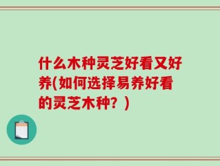 什么木种灵芝好看又好养(如何选择易养好看的灵芝木种？)