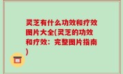 灵芝有什么功效和疗效图片大全(灵芝的功效和疗效：完整图片指南)