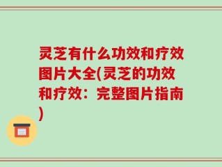 灵芝有什么功效和疗效图片大全(灵芝的功效和疗效：完整图片指南)