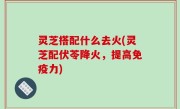 灵芝搭配什么去火(灵芝配伏苓降火，提高免疫力)