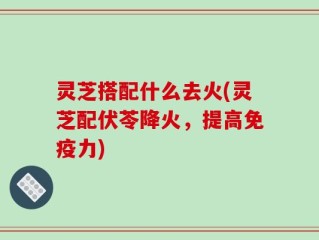 灵芝搭配什么去火(灵芝配伏苓降火，提高免疫力)