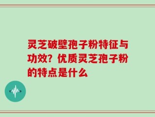 灵芝破壁孢子粉特征与功效？优质灵芝孢子粉的特点是什么