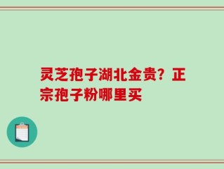 灵芝孢子湖北金贵？正宗孢子粉哪里买