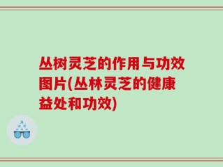 丛树灵芝的作用与功效图片(丛林灵芝的健康益处和功效)