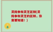 灵阳参和灵芝区别(灵阳参和灵芝的区别，你需要知道！)