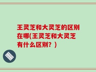 王灵芝和大灵芝的区别在哪(王灵芝和大灵芝有什么区别？)