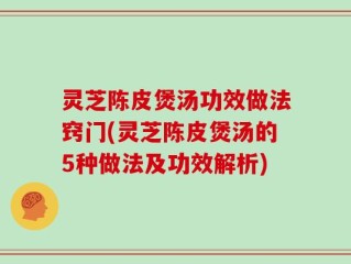 灵芝陈皮煲汤功效做法窍门(灵芝陈皮煲汤的5种做法及功效解析)