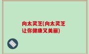 向太灵芝(向太灵芝 让你健康又美丽)
