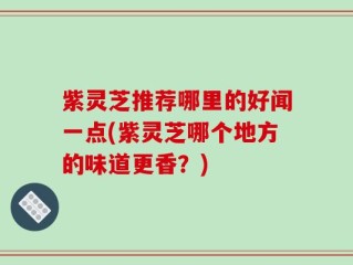 紫灵芝推荐哪里的好闻一点(紫灵芝哪个地方的味道更香？)