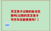灵芝孢子过期的能当花肥吗(过期的灵芝孢子可作为花肥使用吗？)