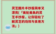 灵芝图片手抄报简单又漂亮(「美轮美奂的灵芝手抄报，让你轻松了解灵芝的功效与食用方法」)